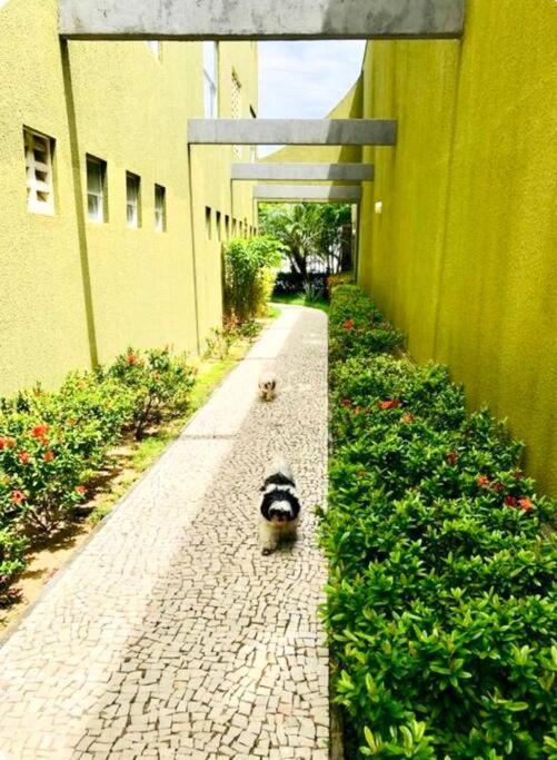Apartment Com Piscina No Hooftop, 48m2 - Da Iracema- Fortaleza (Ceara)